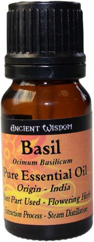 Basil Basil