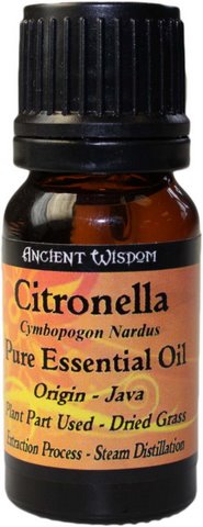 Citronella - Click Image to Close