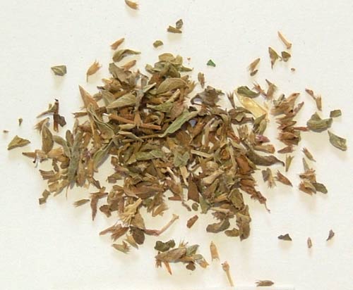 Pennyroyal 25g - Click Image to Close