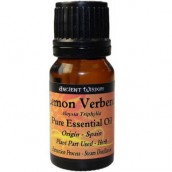 Lemon Verbena - Click Image to Close